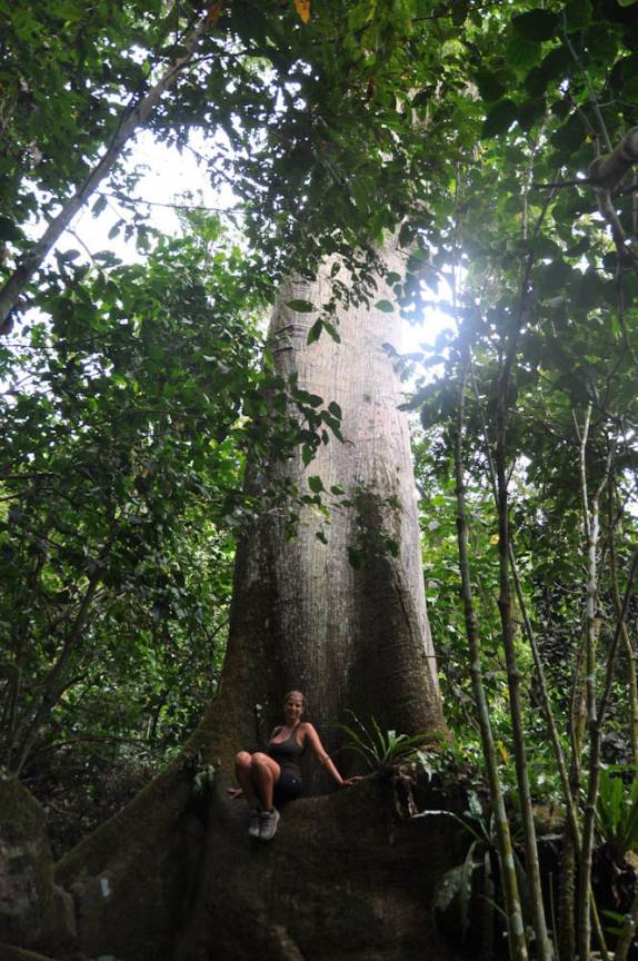 Explorando a cratera do The Quill, em Statia - Caribe